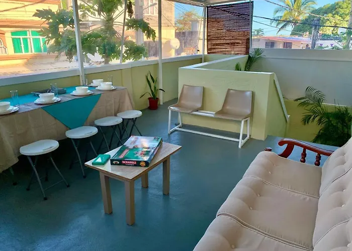Oasis 1